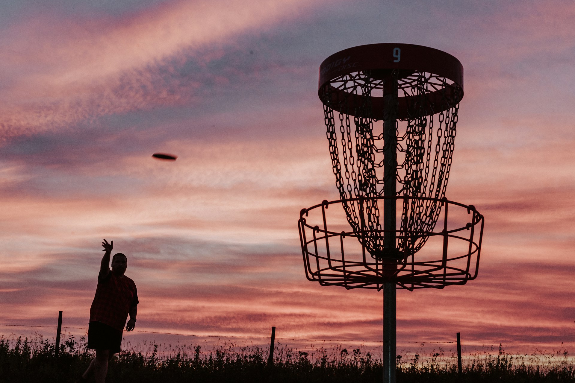 Best Disc Golf Retriever in 2024: The Ultimate Guide - Disc Golf Critic