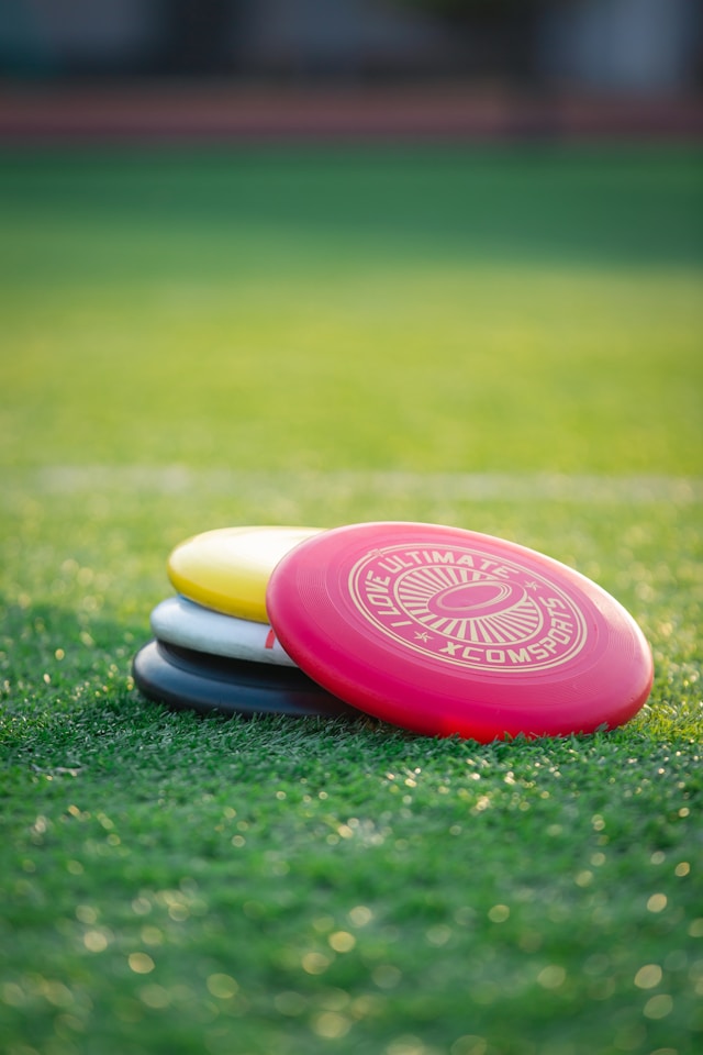 Disc Golf Discs vs. Frisbees