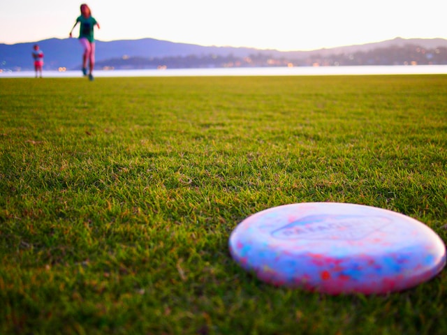 What is a Frisbee?