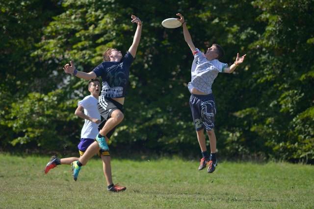 What is a Disc Golf Disc?