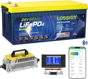 6. LOSSIGY 36 Volt Lithium Golf Cart Battery